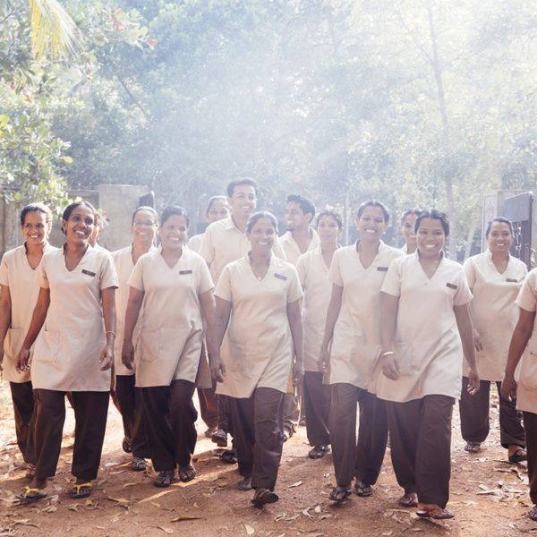 team vaidyas ayurveda village